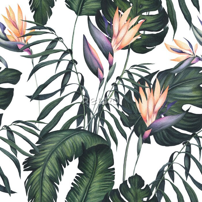 Papier peint  Seamless Pattern of Watercolor Strelitzia and Palm Leaves