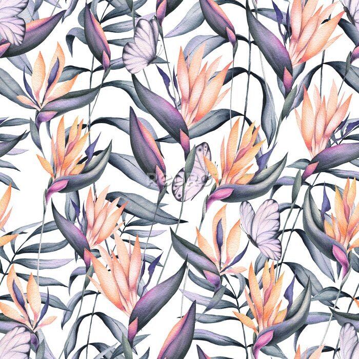 Papier peint  Seamless Pattern of Watercolor Strelitzia Flowers