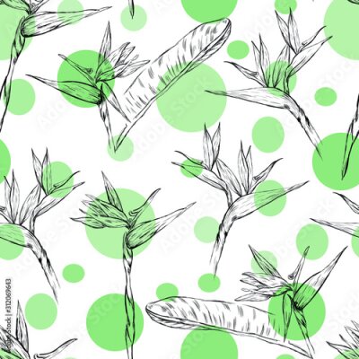 Papier peint  Seamless Pattern Tropical Jungles Exotic flowers, leaves, strelitzia vector sketch . Concept for print, wallpaper, wrapping paper  