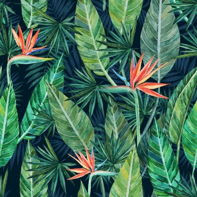 Papier peint  Seamless pattern. Tropical plant. Leaves and flowers on a dark background.  Strelitzia. Watercolor drawing. For design, decoration,background, illustration, textiles, and Wallpapers.