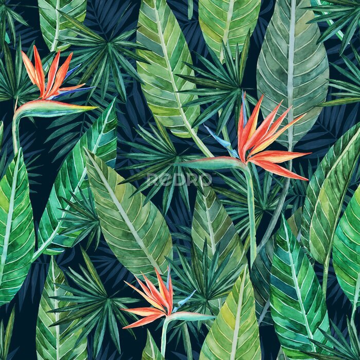 Papier peint  Seamless pattern. Tropical plant. Leaves and flowers on a dark background.  Strelitzia. Watercolor drawing. For design, decoration,background, illustration, textiles, and Wallpapers.