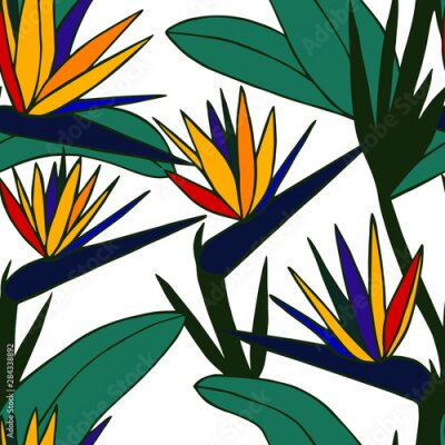 Papier peint  seamless pattern vector illustration eps10. Strelitzia flower. hand drawing