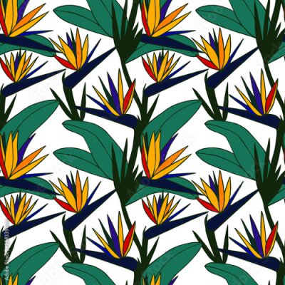 Papier peint  seamless pattern vector illustration eps10. Strelitzia flower. hand drawing