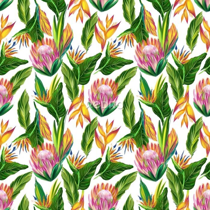 Papier peint  Seamless pattern with african flowers, leaf, protea, strelitzia in digital, realistic style. Jungle illustration print