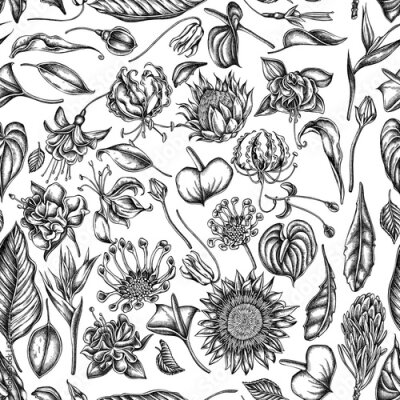 Papier peint  Seamless pattern with black and white african daisies, fuchsia, gloriosa, king protea, anthurium, strelitzia