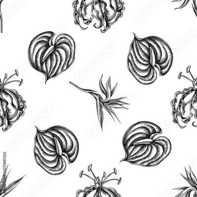 Papier peint  Seamless pattern with black and white gloriosa, anthurium, strelitzia