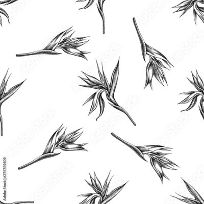 Papier peint  Seamless pattern with black and white strelitzia