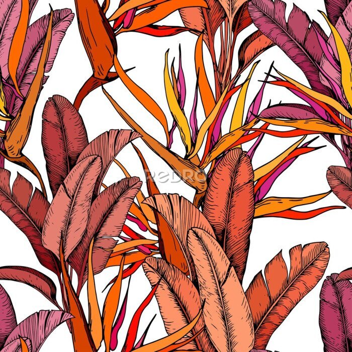 Papier peint  Seamless pattern with bright tropical leaves and strelitzia flowers. Bird of Paradise flowers. Hand drawn vector illustration.