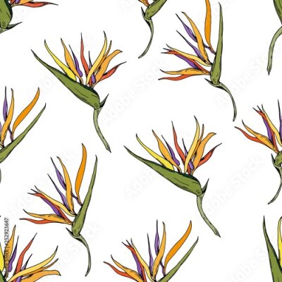 Papier peint  Seamless pattern with exotic strelitzia flowers. Hand drawn vector on white background.