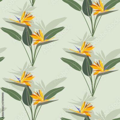 Papier peint  Seamless pattern with flowers of a bird of paradise. Strelitzia
