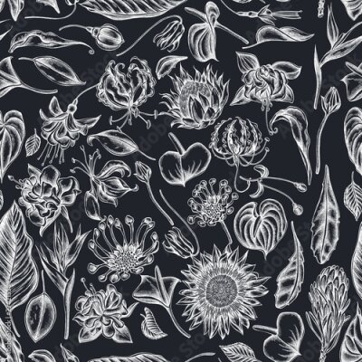 Papier peint  Seamless pattern with hand drawn chalk african daisies, fuchsia, gloriosa, king protea, anthurium, strelitzia