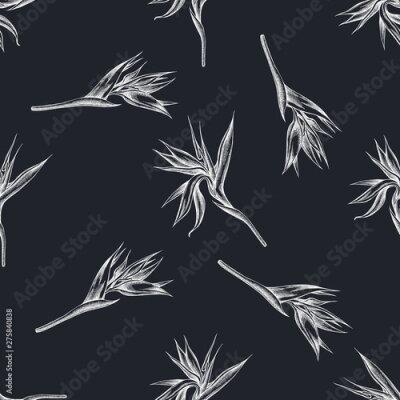 Papier peint  Seamless pattern with hand drawn chalk strelitzia