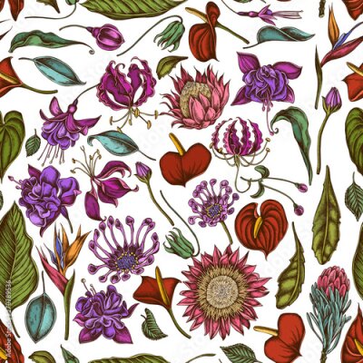 Papier peint  Seamless pattern with hand drawn colored african daisies, fuchsia, gloriosa, king protea, anthurium, strelitzia