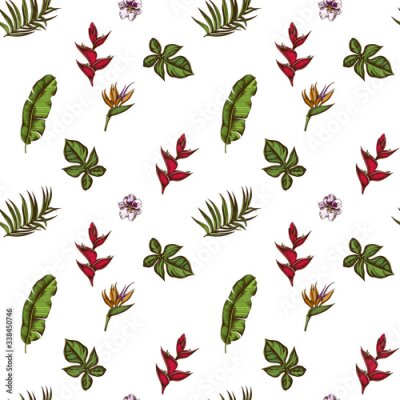 Papier peint  Seamless pattern with hand drawn colored monstera, banana palm leaves, strelitzia, heliconia, tropical palm leaves, orchid
