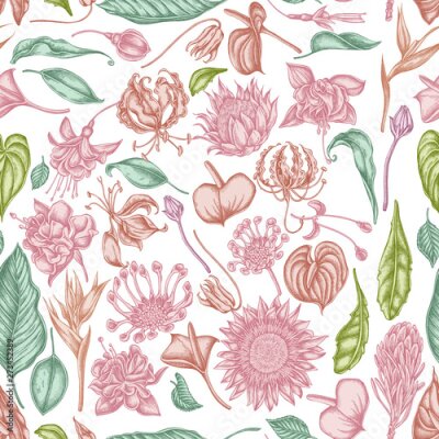 Papier peint  Seamless pattern with hand drawn pastel african daisies, fuchsia, gloriosa, king protea, anthurium, strelitzia