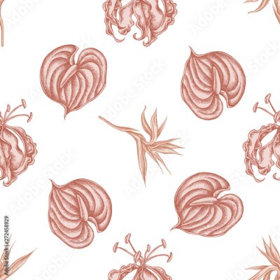 Papier peint  Seamless pattern with hand drawn pastel gloriosa, anthurium, strelitzia