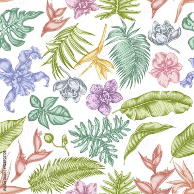 Papier peint  Seamless pattern with hand drawn pastel monstera, banana palm leaves, strelitzia, heliconia, tropical palm leaves, orchid
