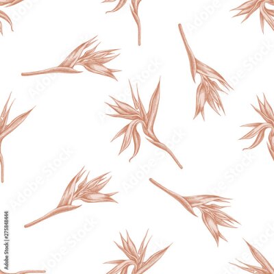 Papier peint  Seamless pattern with hand drawn pastel strelitzia