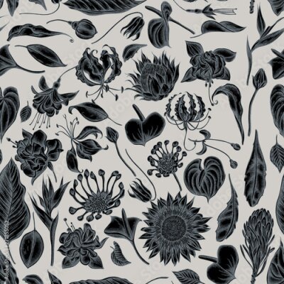 Papier peint  Seamless pattern with hand drawn stylized african daisies, fuchsia, gloriosa, king protea, anthurium, strelitzia