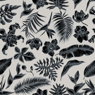 Papier peint  Seamless pattern with hand drawn stylized monstera, banana palm leaves, strelitzia, heliconia, tropical palm leaves, orchid