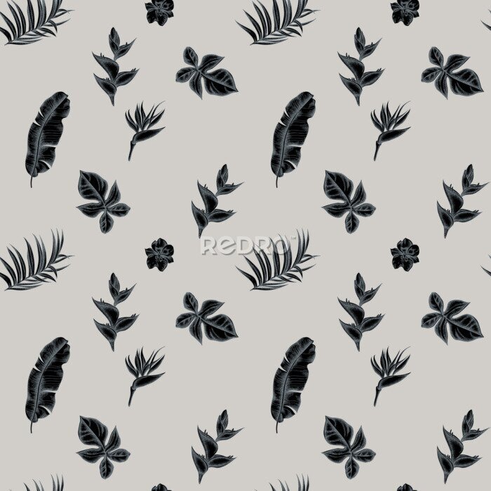 Papier peint  Seamless pattern with hand drawn stylized monstera, banana palm leaves, strelitzia, heliconia, tropical palm leaves, orchid