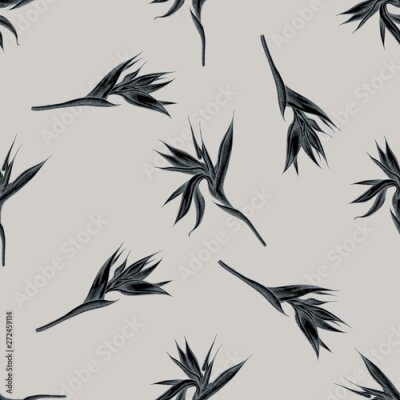 Papier peint  Seamless pattern with hand drawn stylized strelitzia