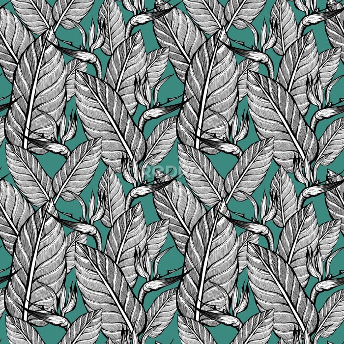 Papier peint  seamless pattern with leaves and strelitzia. Background of exotic flowers. 