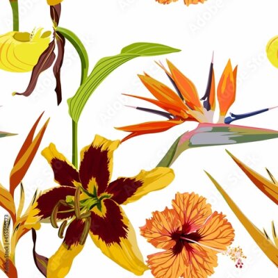 Papier peint  Seamless pattern with lilies, strelitzia, hibiscus and other wild tropical flowers. White background.