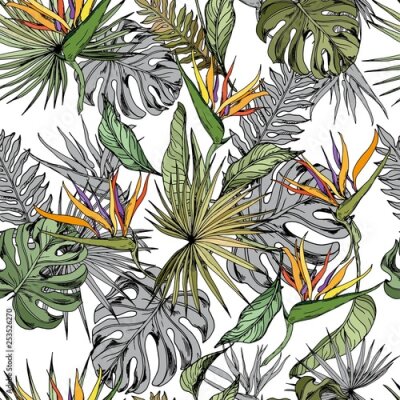 Papier peint  Seamless pattern with monstera leaves and strelitzia flowers. Hand drawn vector on white background.
