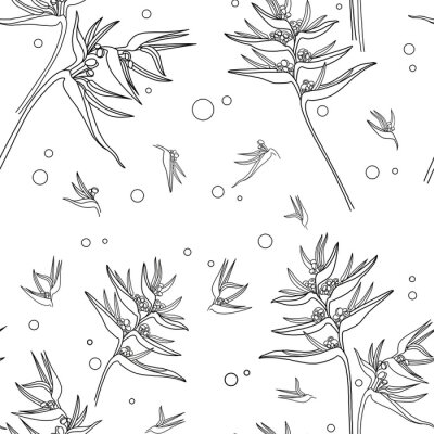 Papier peint  Seamless pattern with plant elements. Sketch of strelitzia lines.