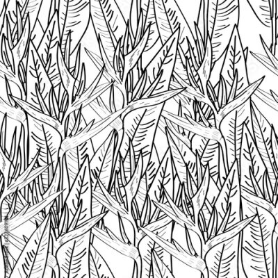 Papier peint  Seamless pattern with strelitzia flowers leaf sketch, black contour white background. simple ornament, Can be used for Gift wrap, fabrics, wallpapers. Vector