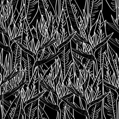 Papier peint  Seamless pattern with strelitzia flowers leaf sketch, white contour black background. simple ornament, Can be used for Gift wrap, fabrics, wallpapers. Vector