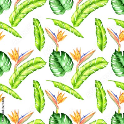Papier peint  seamless pattern with Strelitzia reginae flowers