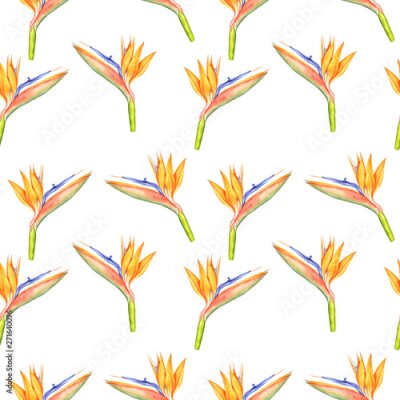 Papier peint  seamless pattern with Strelitzia reginae flowers