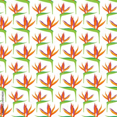 Papier peint  Seamless pattern with Strelitzia reginae flowers, for textiles, packaging, backgrounds and textures..