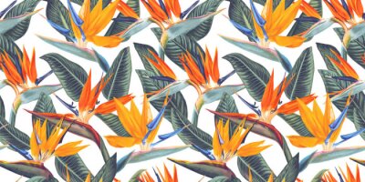 Papier peint  ,Seamless pattern with tropical flowers and leaves of Strelitzia, called crane flower or bird of paradise. Realistic style, hand drawn, vector. Background for prints, fabric, wallpapers, wrapping pape