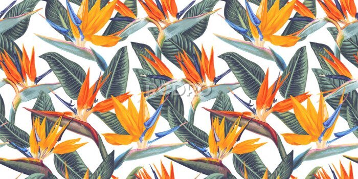 Papier peint  ,Seamless pattern with tropical flowers and leaves of Strelitzia, called crane flower or bird of paradise. Realistic style, hand drawn, vector. Background for prints, fabric, wallpapers, wrapping pape