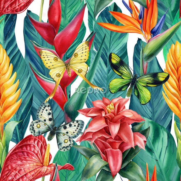 Papier peint  Seamless pattern with tropical flowers guzmania, strelitzia, heliconia,, leaves and butterfly, watercolor painting