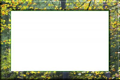 Papier peint  Seamless pattern with tropical green palm, colocasia, banana leaves. Hand drawing botanical vintage background. Suitable for making wallpaper, printing on fabric, wrapping paper, fabric