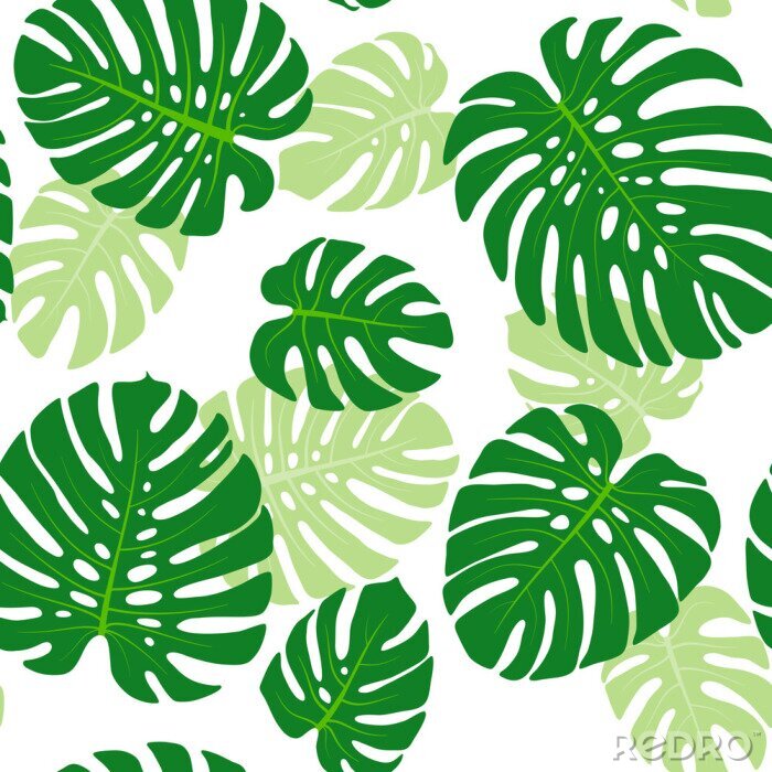 Papier peint  Seamless pattern with tropical leaves of monstera