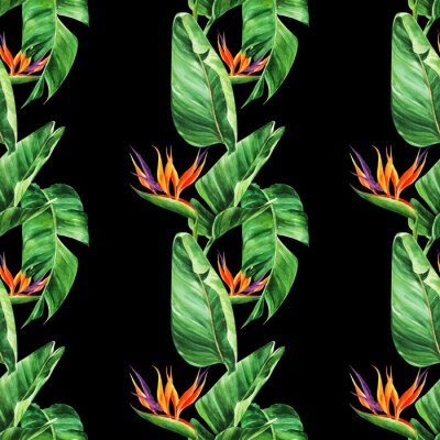 Papier peint  Seamless pattern with  tropical leaves, strelitzia on a black background, watercolor jungle, botanical drawing.