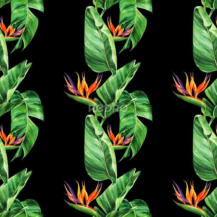 Papier peint  Seamless pattern with  tropical leaves, strelitzia on a black background, watercolor jungle, botanical drawing.