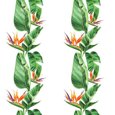 Papier peint  Seamless pattern with  tropical leaves, strelitzia on an isolated white background, watercolor jungle, botanical drawing.