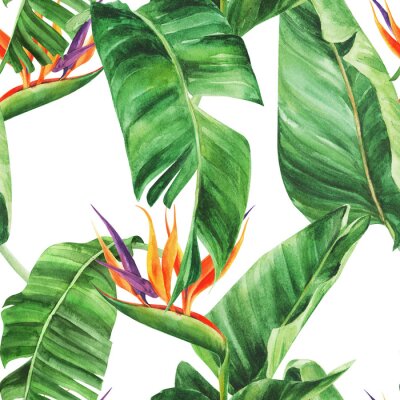 Papier peint  Seamless pattern with  tropical leaves, strelitzia on an isolated white background, watercolor jungle, botanical drawing.