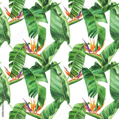 Papier peint  Seamless pattern with  tropical leaves, strelitzia on an isolated white background, watercolor jungle, botanical drawing.