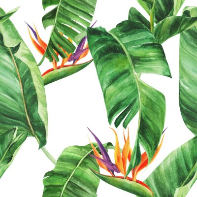 Papier peint  Seamless pattern with  tropical leaves, strelitzia on an isolated white background, watercolor jungle, botanical drawing.