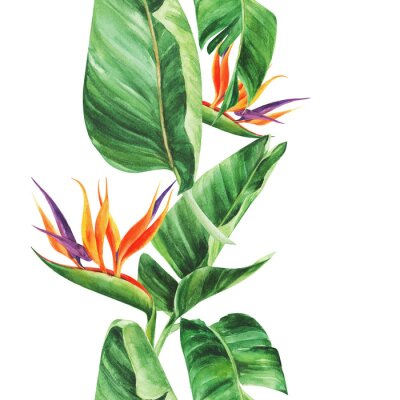 Papier peint  Seamless pattern with  tropical leaves, strelitzia on an isolated white background, watercolor jungle, botanical drawing.