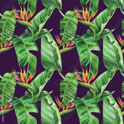 Papier peint  Seamless pattern with  tropical leaves, strelitzia, watercolor jungle, botanical drawing.