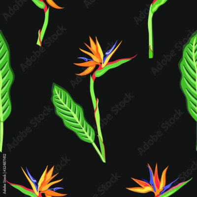 Papier peint  Seamless pattern with tropical strelitzia flower. Pattern, ornament for printing on textiles, paper, packaging, wallpaper.