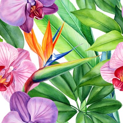 Papier peint  seamless patterns of tropical flowers orchids, strelitzia and green leaves, monstera on an isolated white background, watercolor illustration, flora design